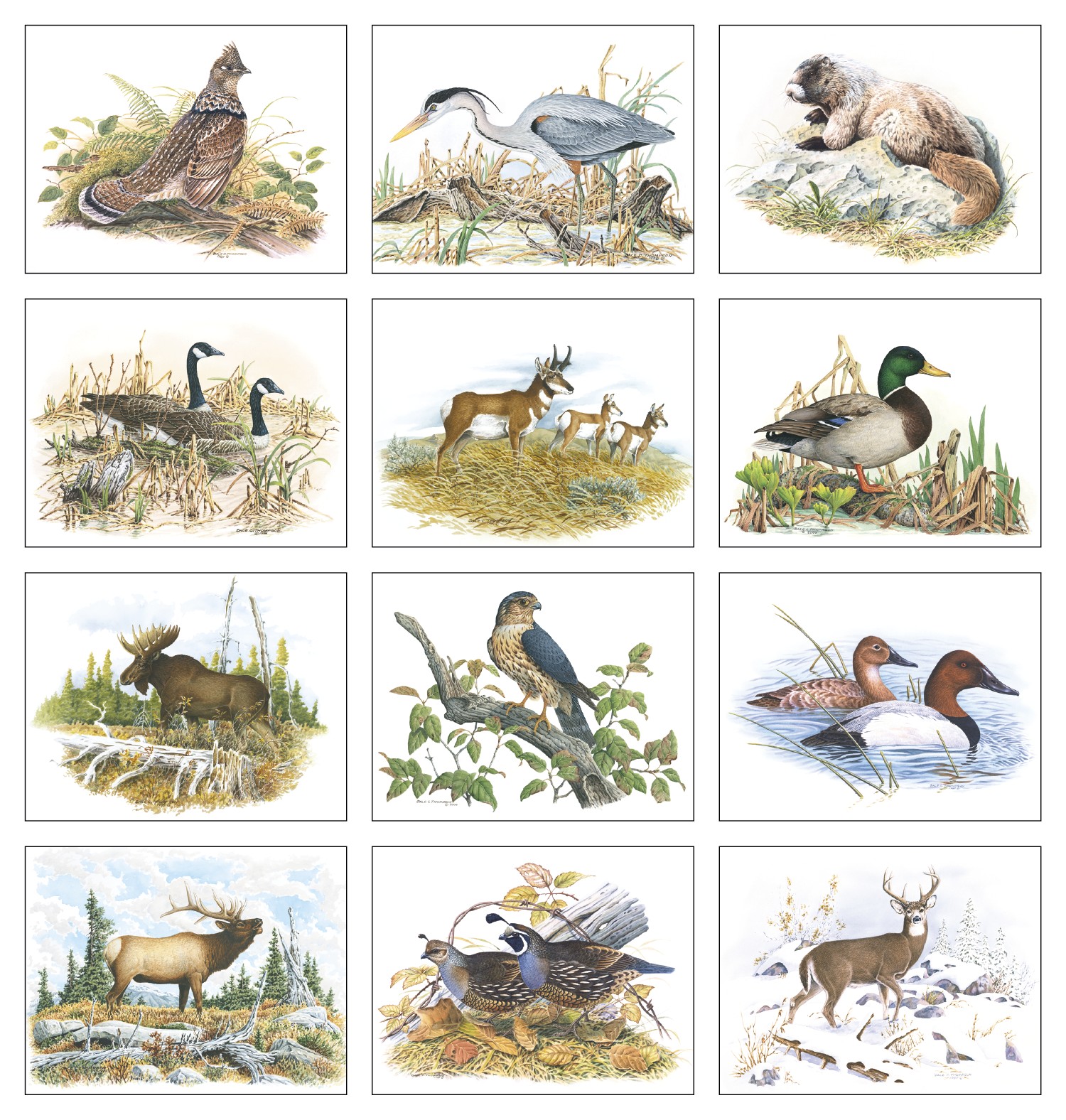 Good Value™ Wildlife Trek - Stapled Calendar 2