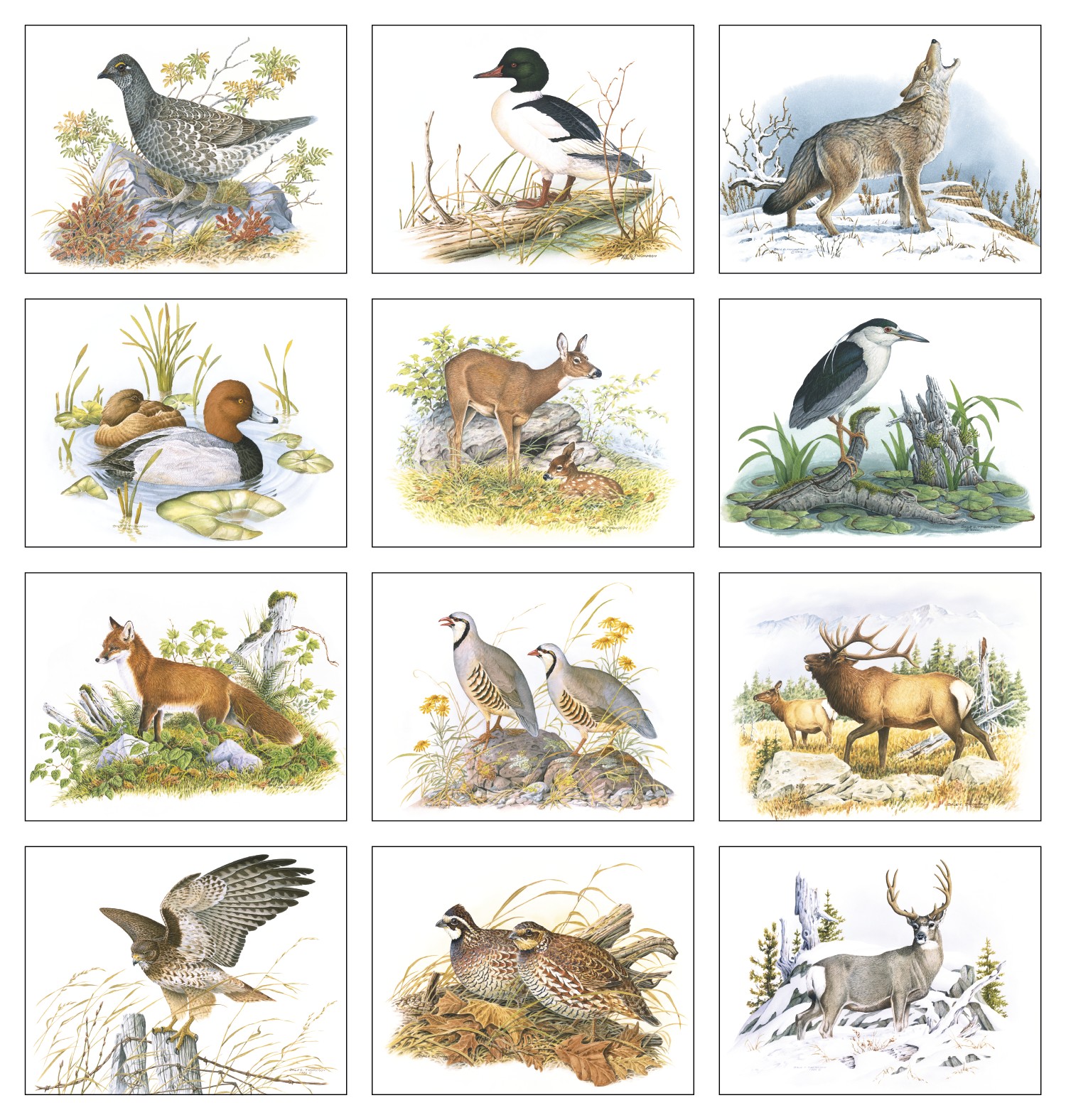 Good Value™ Wildlife Trek - Stapled Calendar 2