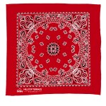Garyline® 22" Bandana with Stock Paisley Pattern 2 Garyline® 22" Bandana with Stock Paisley Pattern 2