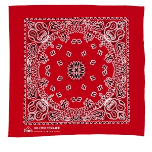 Garyline® 22" Bandana with Stock Paisley Pattern 2 Garyline® 22" Bandana with Stock Paisley Pattern 2