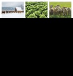 Good Value™ Agriculture - Stapled Calendar - Good Value Agriculture - Stapled Calendar month image Good Value™ Agriculture - Stapled Calendar - Good Value Agriculture - Stapled Calendar month image