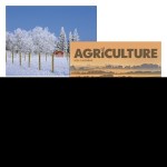 Good Value™ Agriculture - Stapled Calendar 2 Good Value™ Agriculture - Stapled Calendar 2