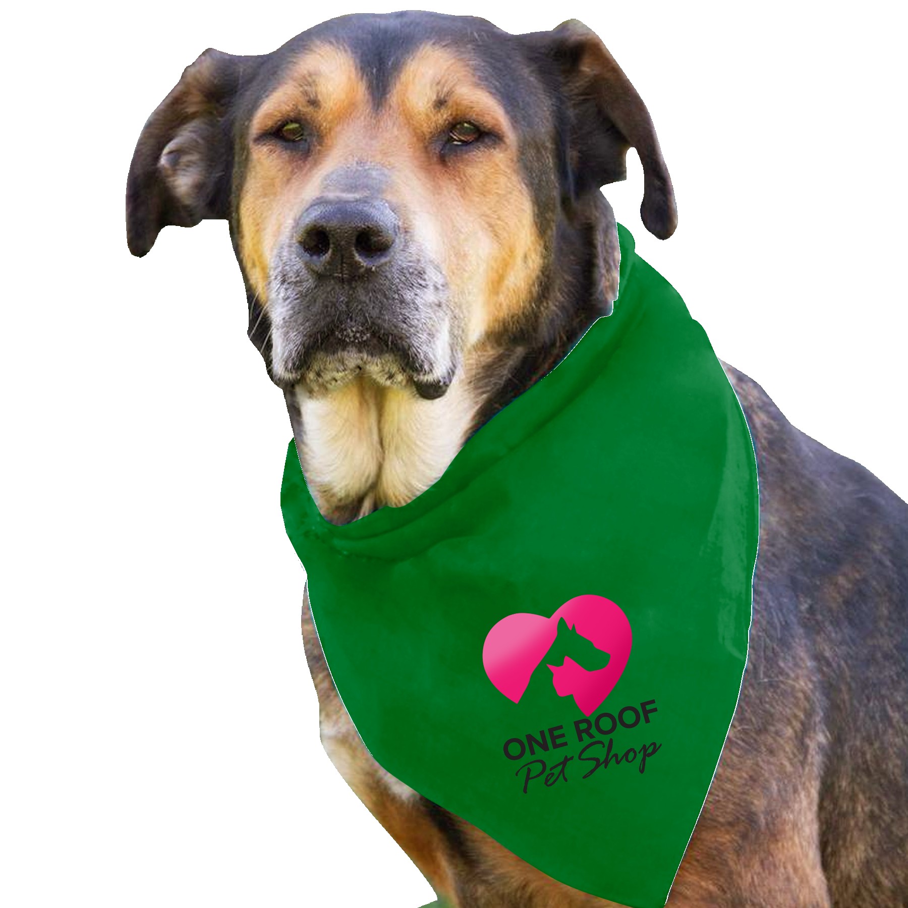 Garyline® Large Triangle Doggie Bandana 2