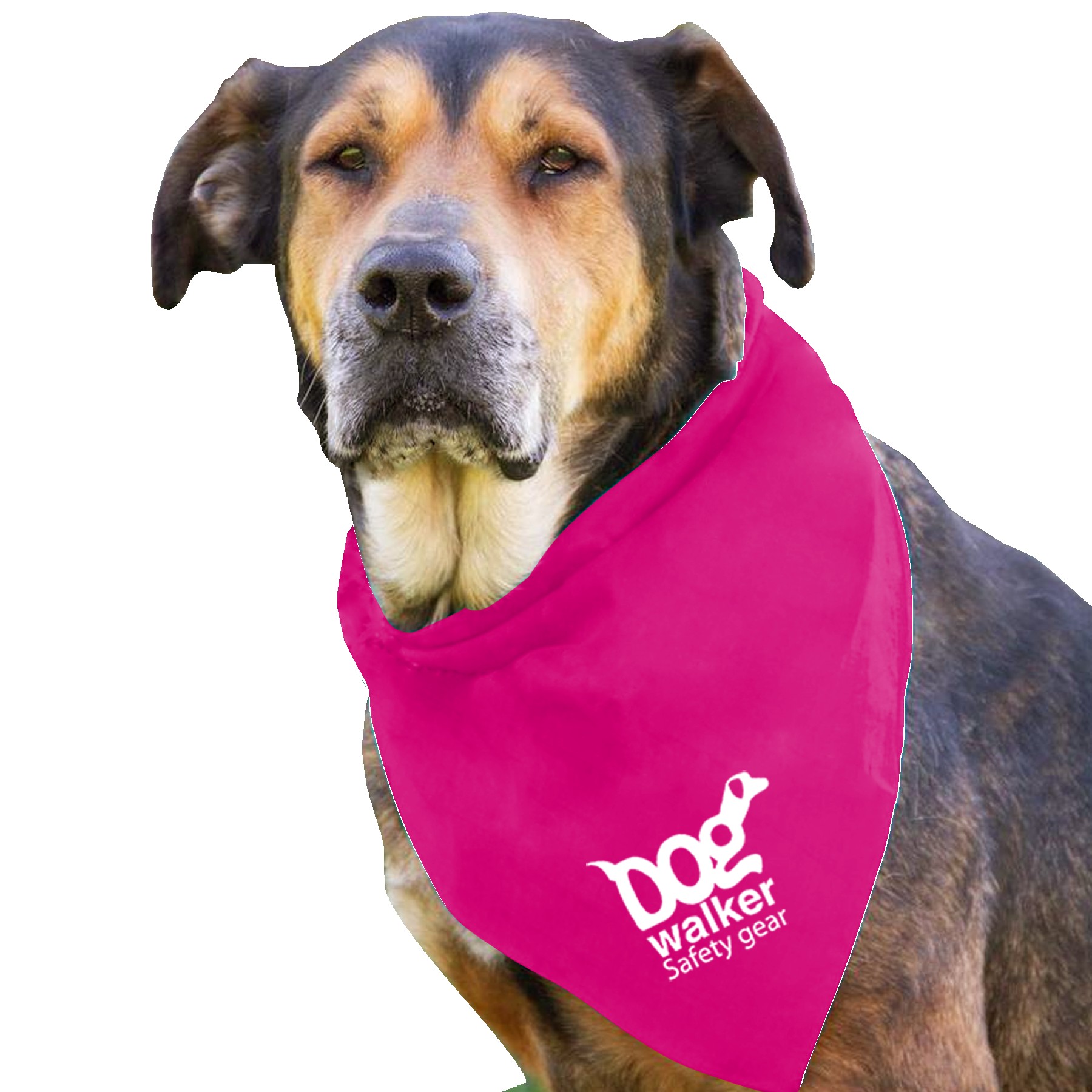 Garyline® Large Triangle Doggie Bandana 2