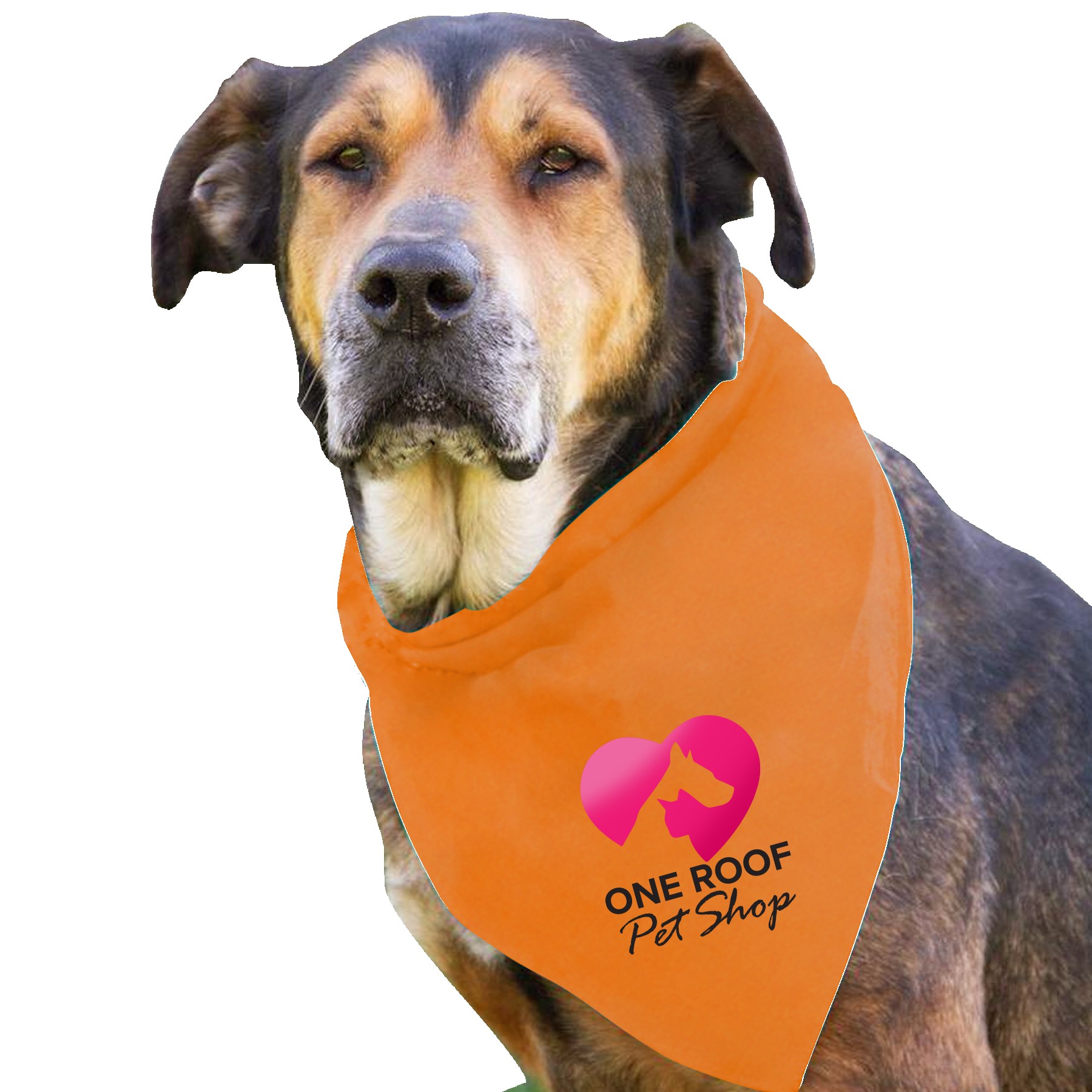 Garyline® Large Triangle Doggie Bandana 2