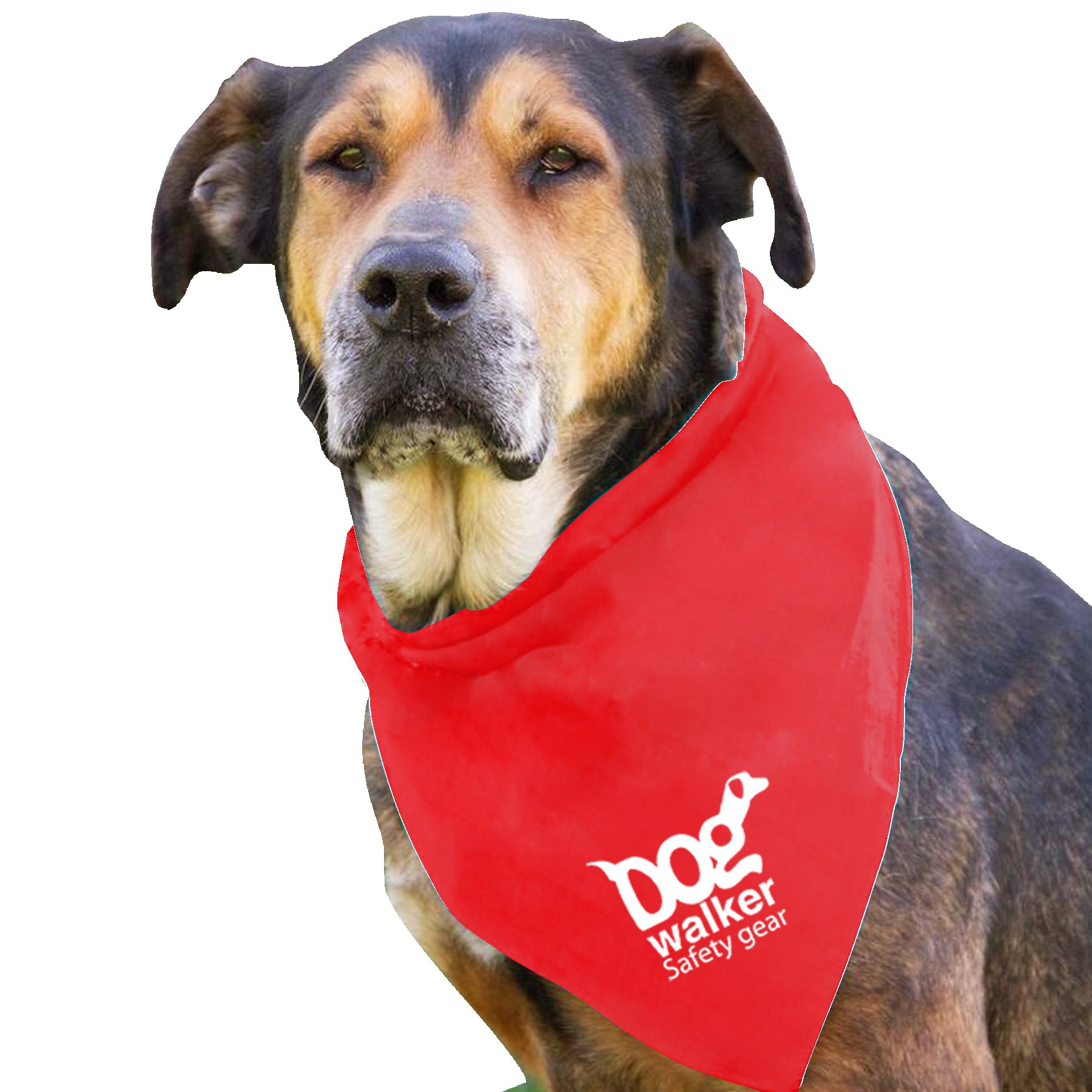Garyline® Large Triangle Doggie Bandana 2