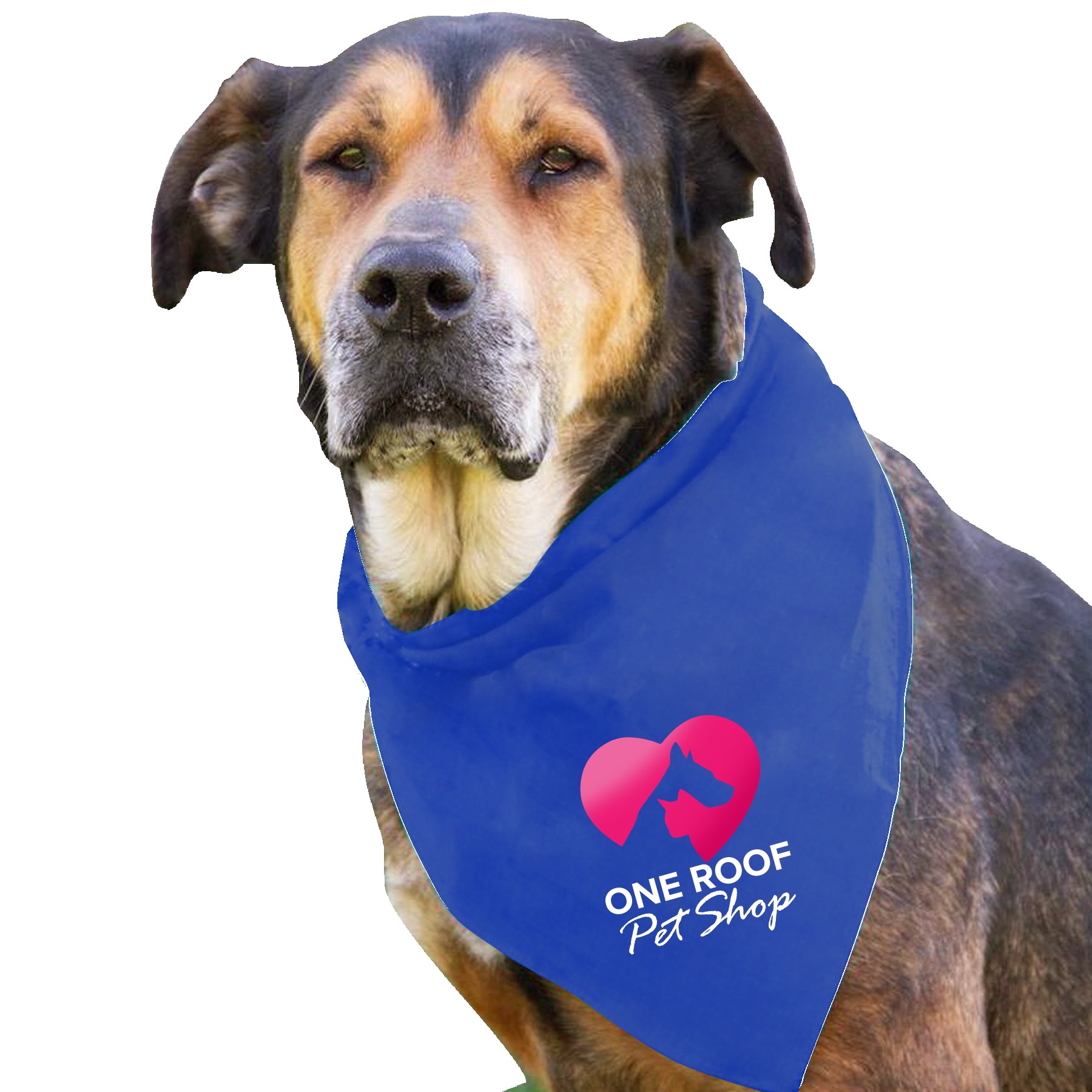 Garyline® Large Triangle Doggie Bandana 2