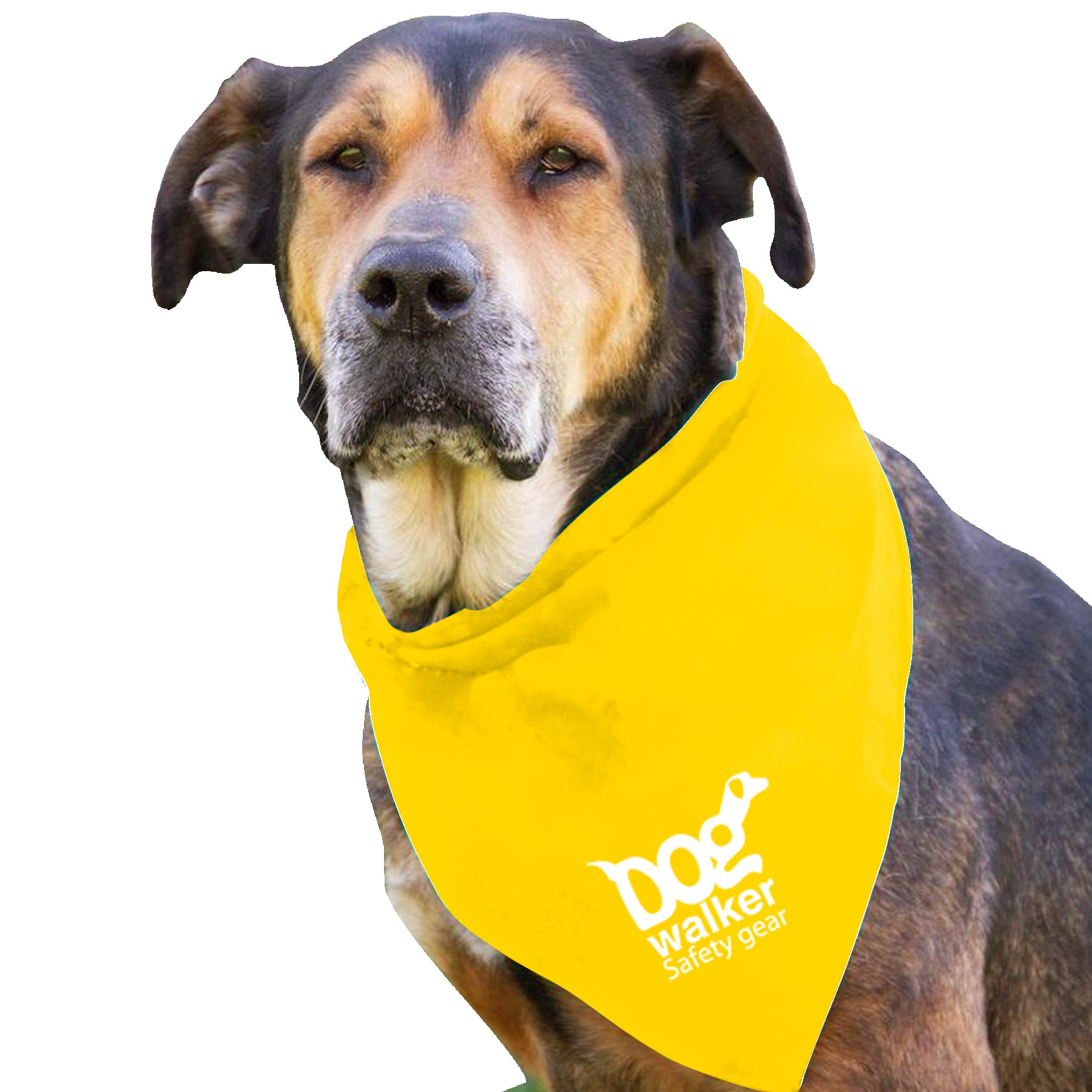 Garyline® Large Triangle Doggie Bandana 2