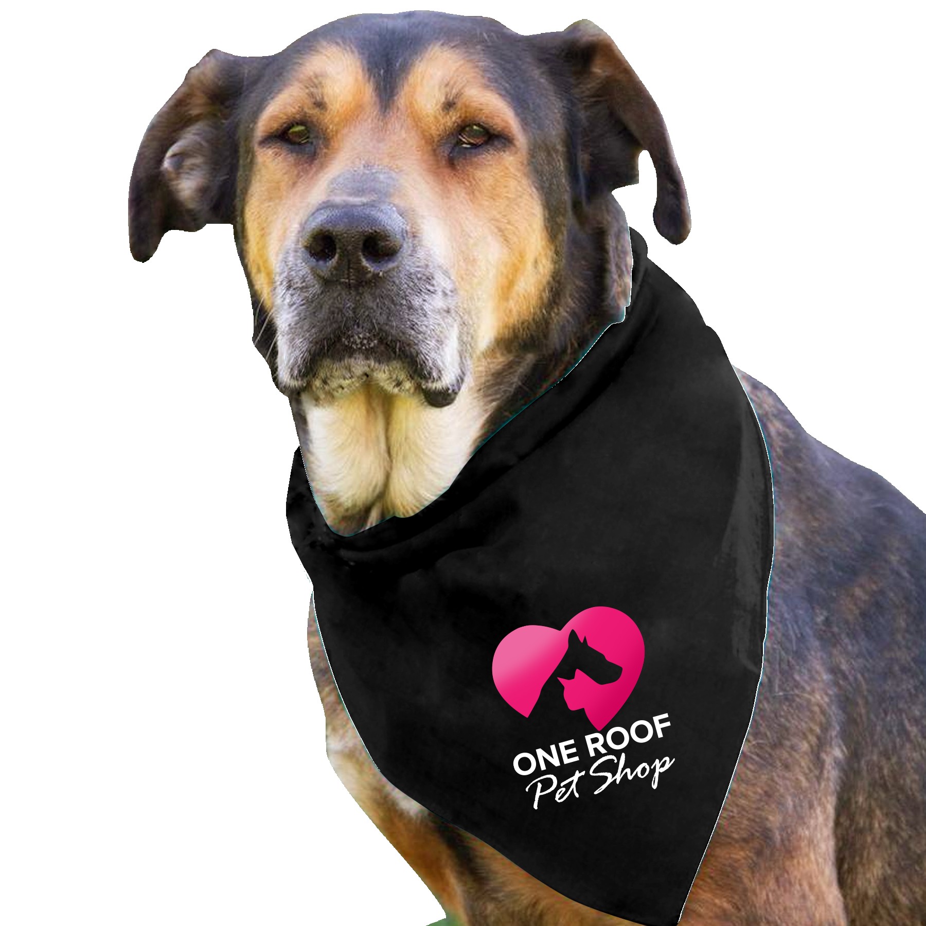 Garyline® Large Triangle Doggie Bandana 2