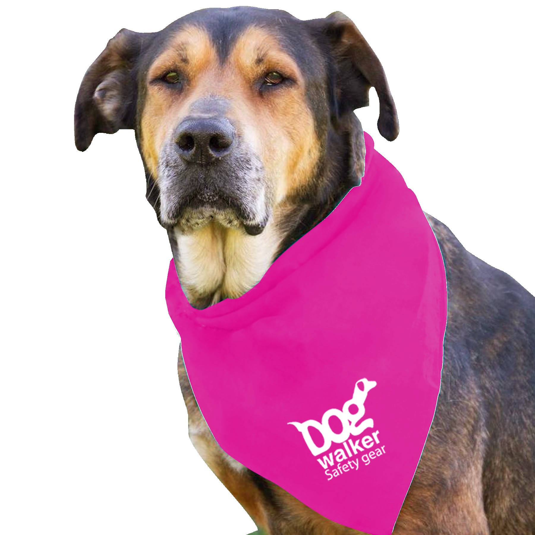 Garyline® Large Triangle Doggie Bandana 2