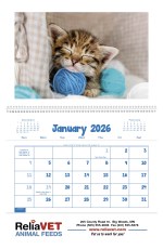 Triumph® Calendars Puppies & Kittens Pocket Calendar - Triumph Calendars Puppies & Kittens Pocket Calendar open image Triumph® Calendars Puppies & Kittens Pocket Calendar - Triumph Calendars Puppies & Kittens Pocket Calendar open image