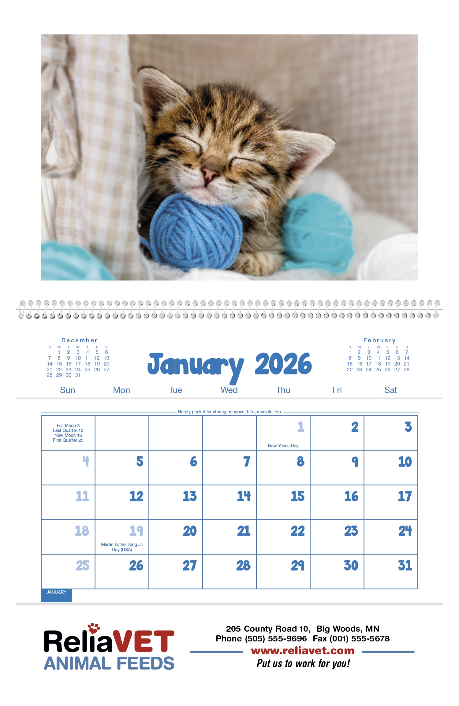 Triumph® Calendars Puppies & Kittens Pocket Calendar 2