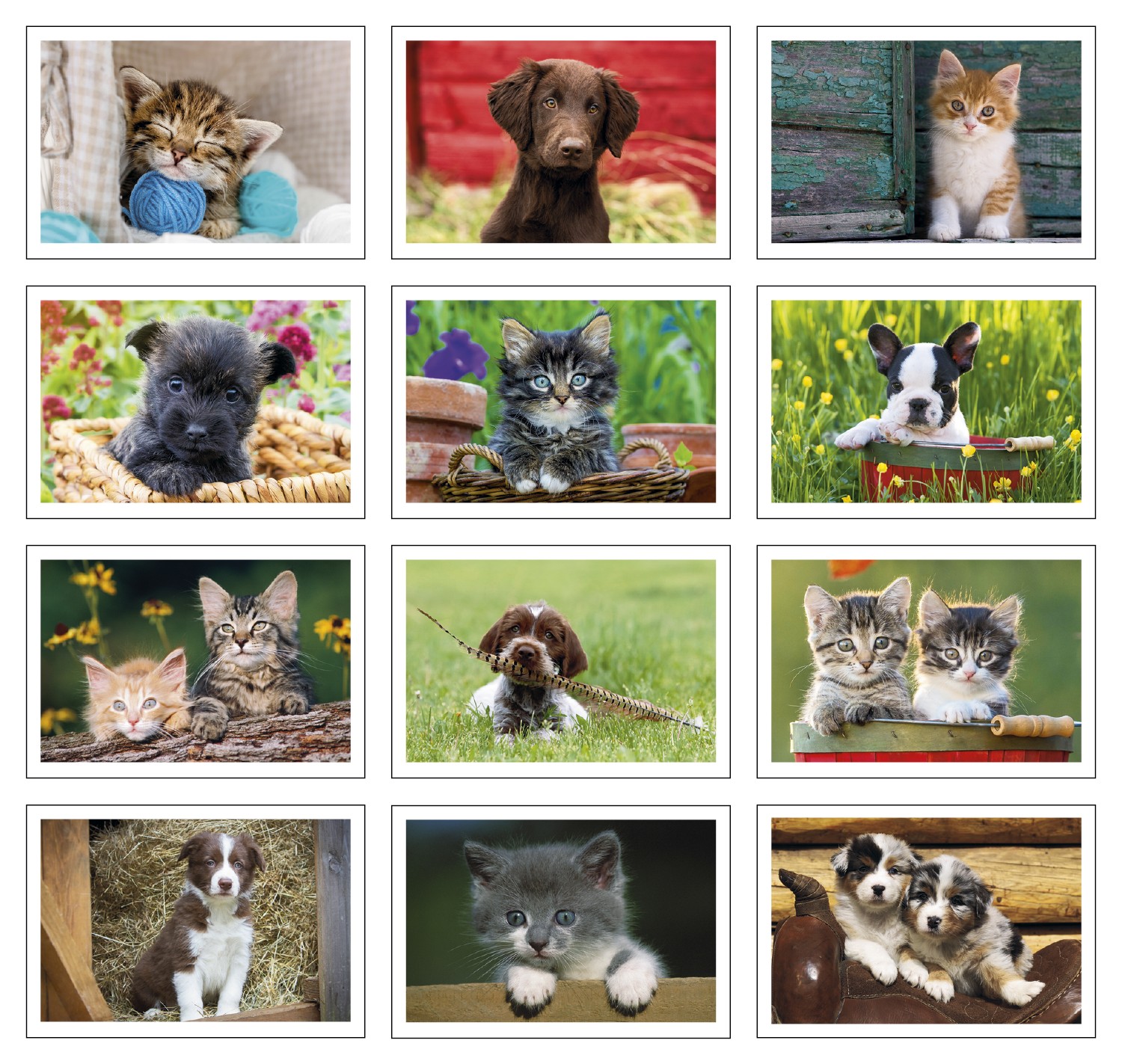 Triumph® Calendars Puppies & Kittens Pocket Calendar 2