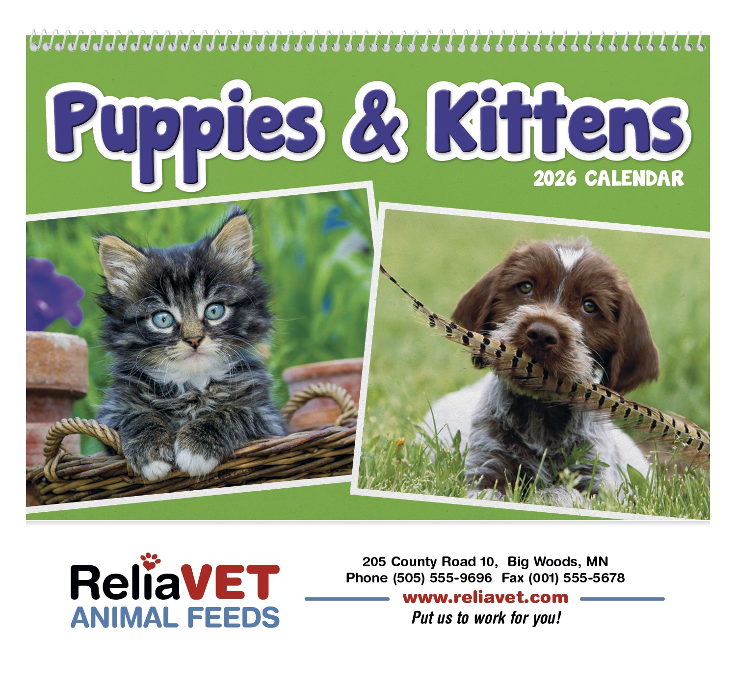 Triumph® Calendars Puppies & Kittens Pocket Calendar 2