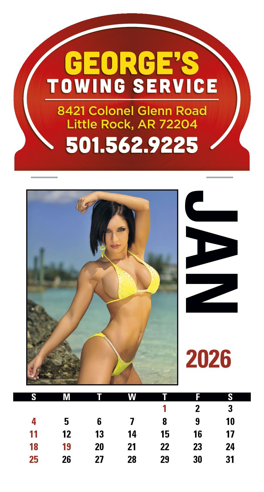Triumph® Calendars Press-N-Stick Full-Color Header Sunshine Girls Calendar 2