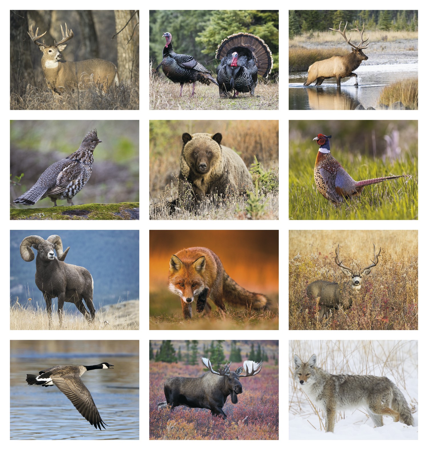 Triumph® Calendars Southeast Sportsman Calendar 2