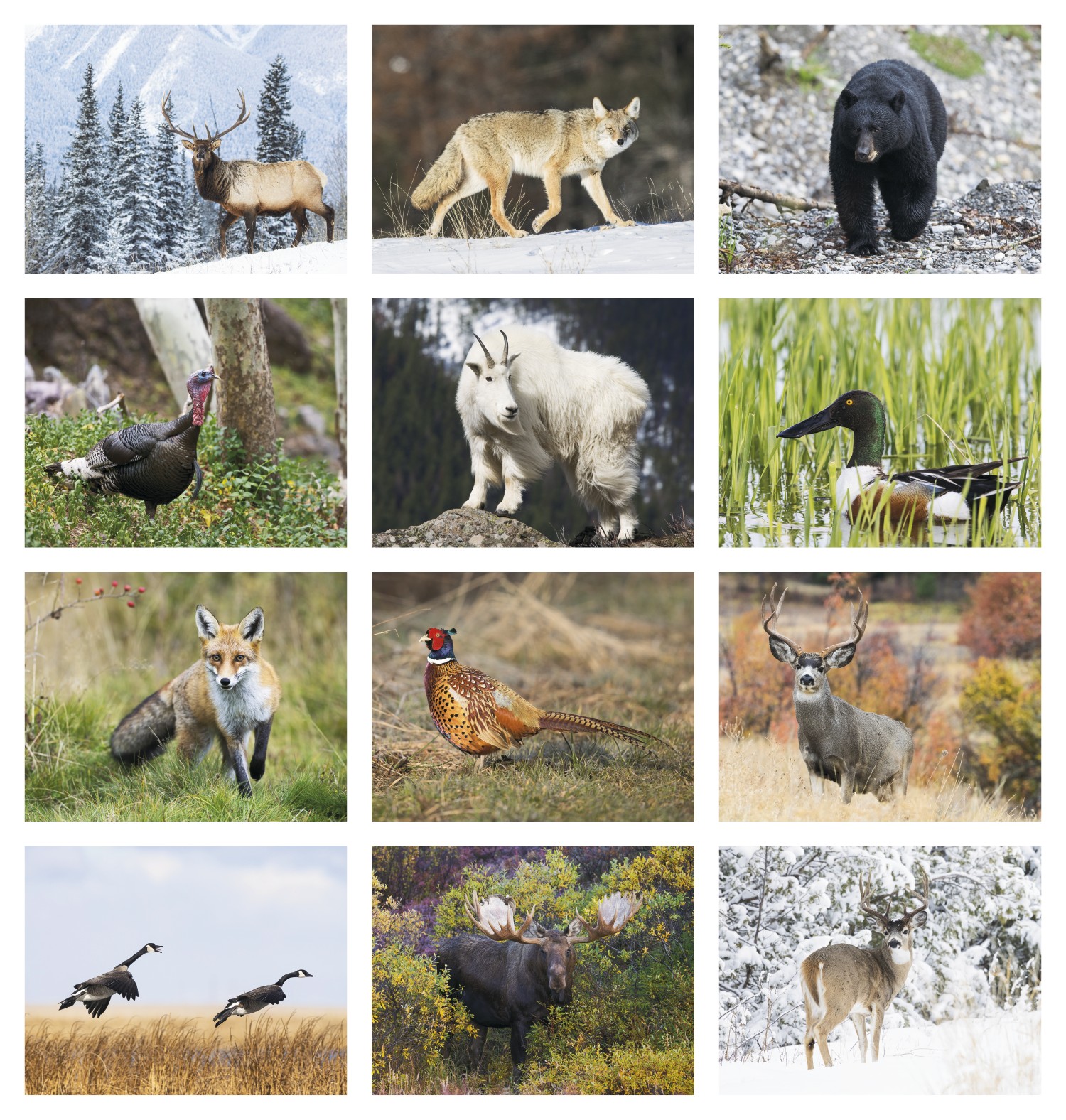 Triumph® Calendars Southeast Sportsman Calendar 2