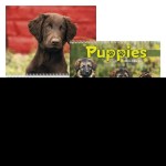 Triumph® Calendars Puppies Calendar 2 Triumph® Calendars Puppies Calendar 2