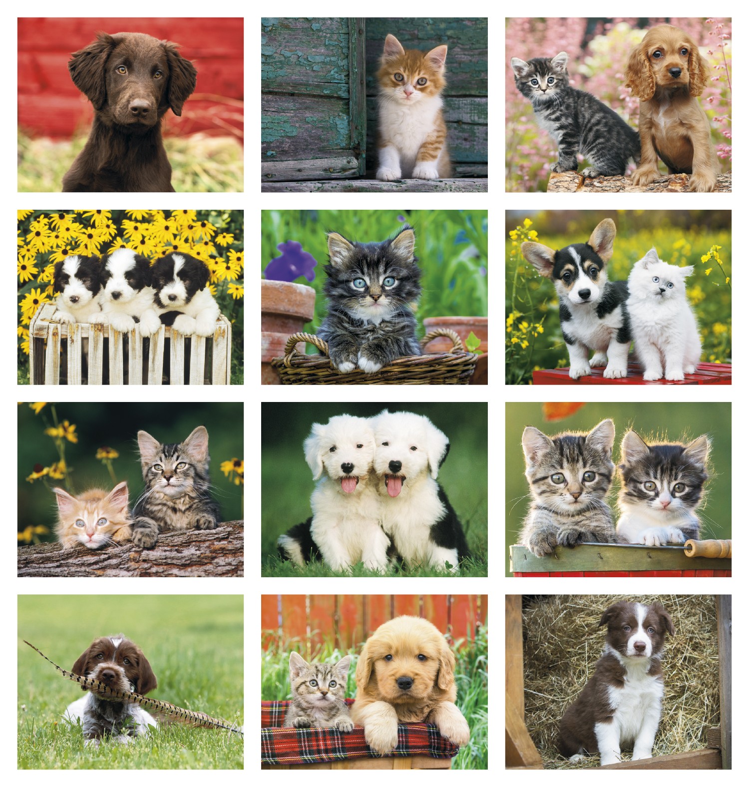 Good Value™ Puppies & Kittens - Stapled Calendar 2