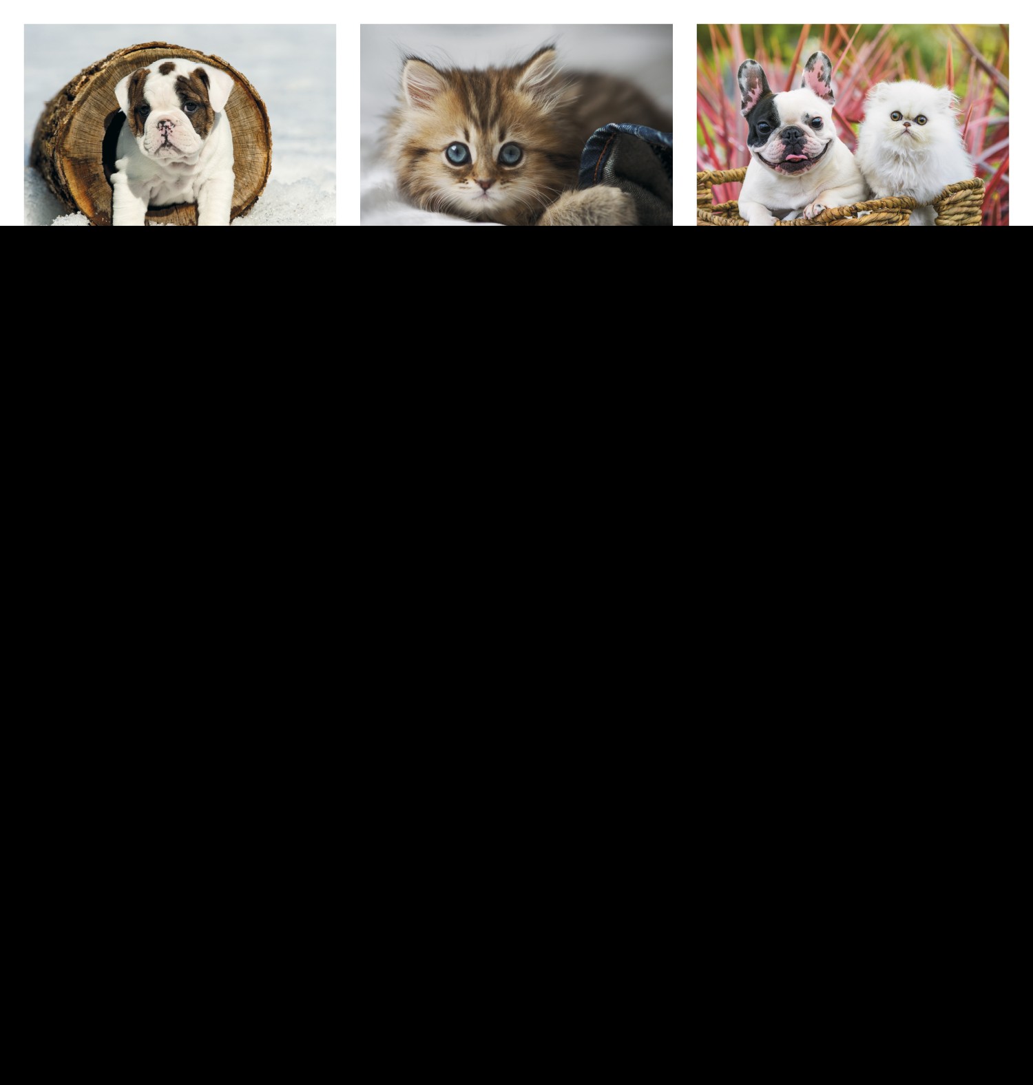 Good Value™ Puppies & Kittens - Stapled Calendar 2