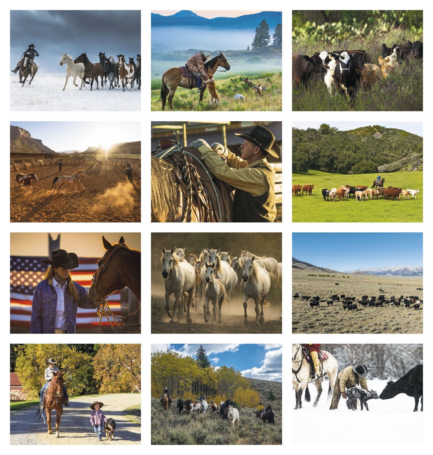 Triumph® Calendars Visions of the West Calendar 2