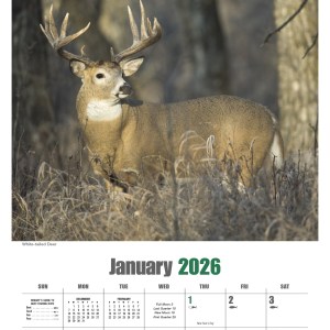 Triumph® Calendars Sportsman Calendar 2 Triumph® Calendars Sportsman Calendar 2