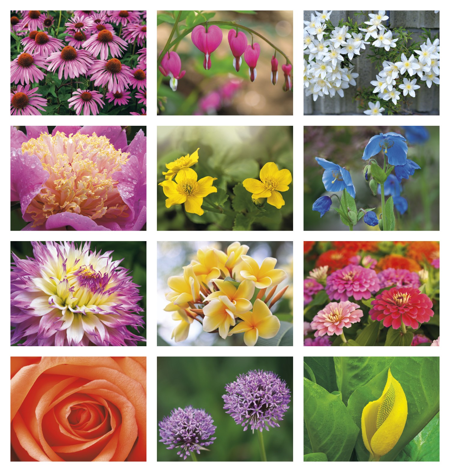 Good Value™ Flowers - Stapled Calendar 2
