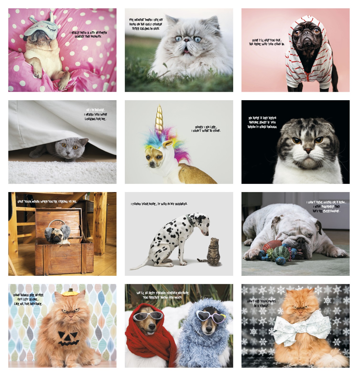 Good Value™ Pets with Attitude - Spiral Calendar 2