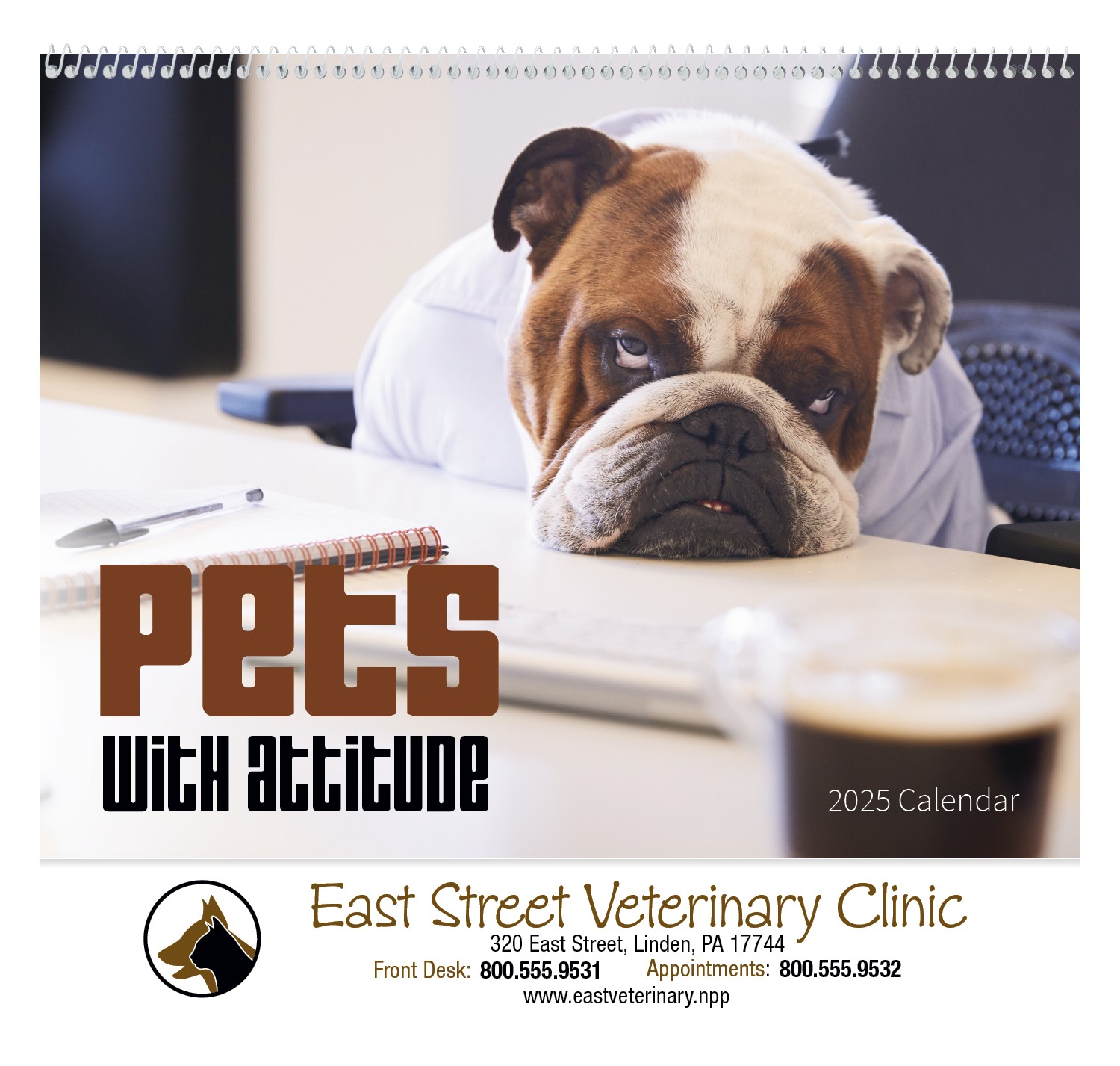 Good Value™ Pets with Attitude - Spiral Calendar 2