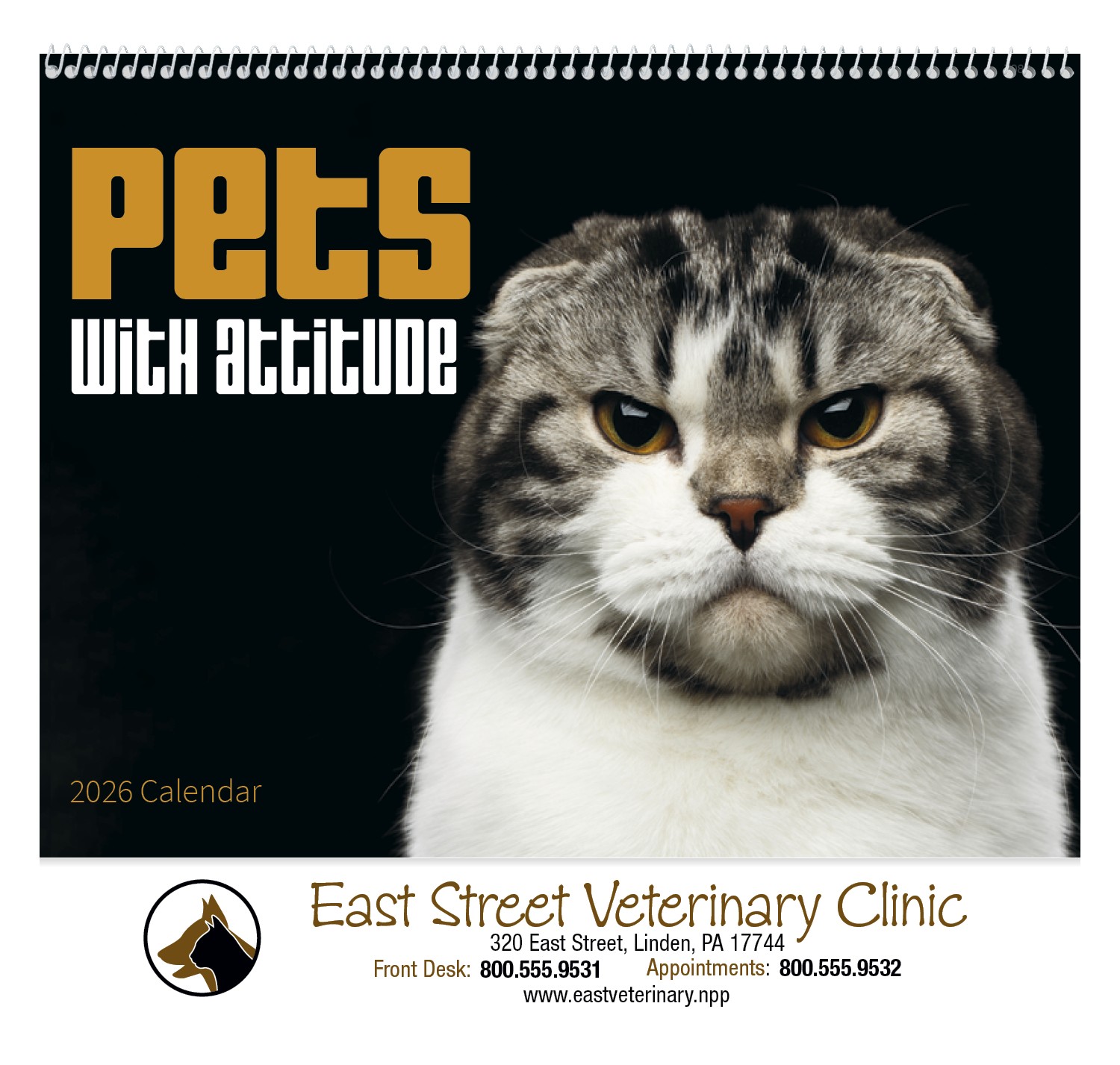 Good Value™ Pets with Attitude - Spiral Calendar 2