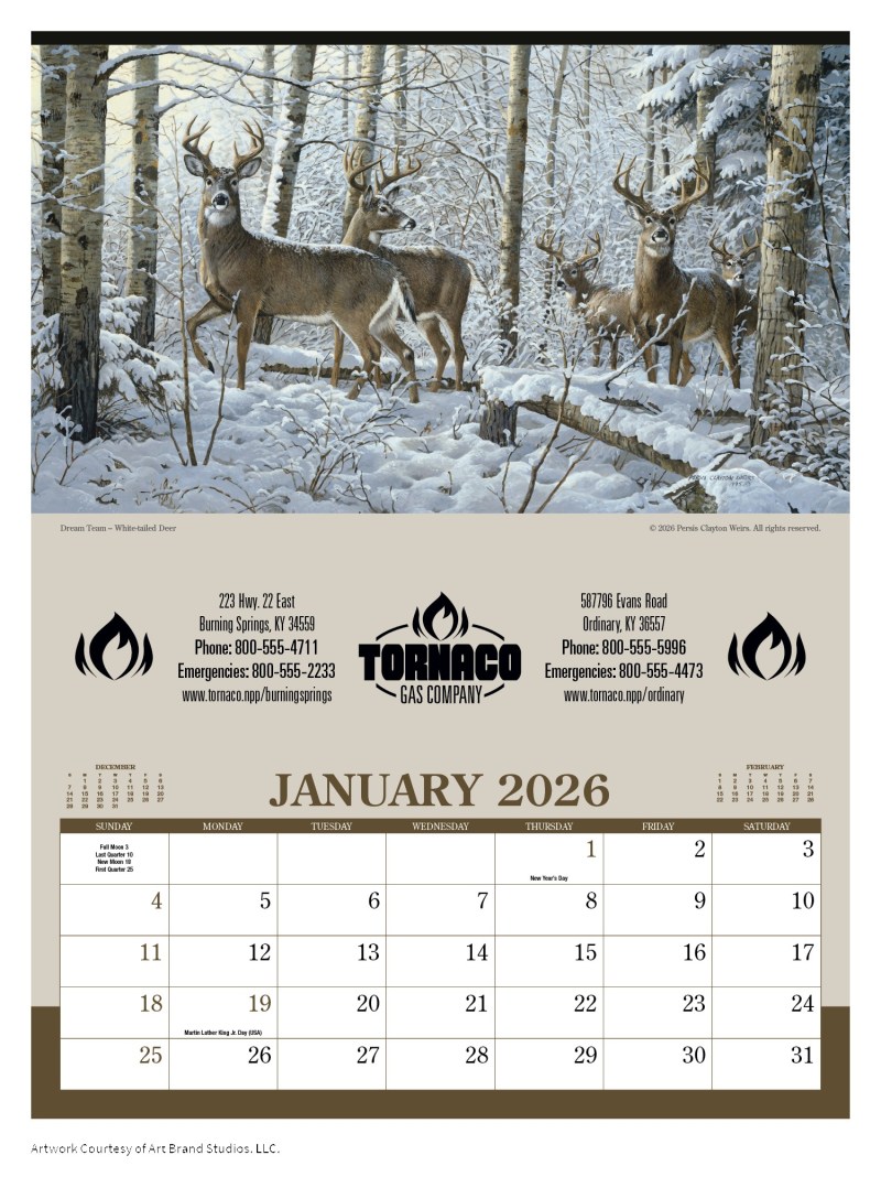 Wildlife Art 2 Wildlife Art 2