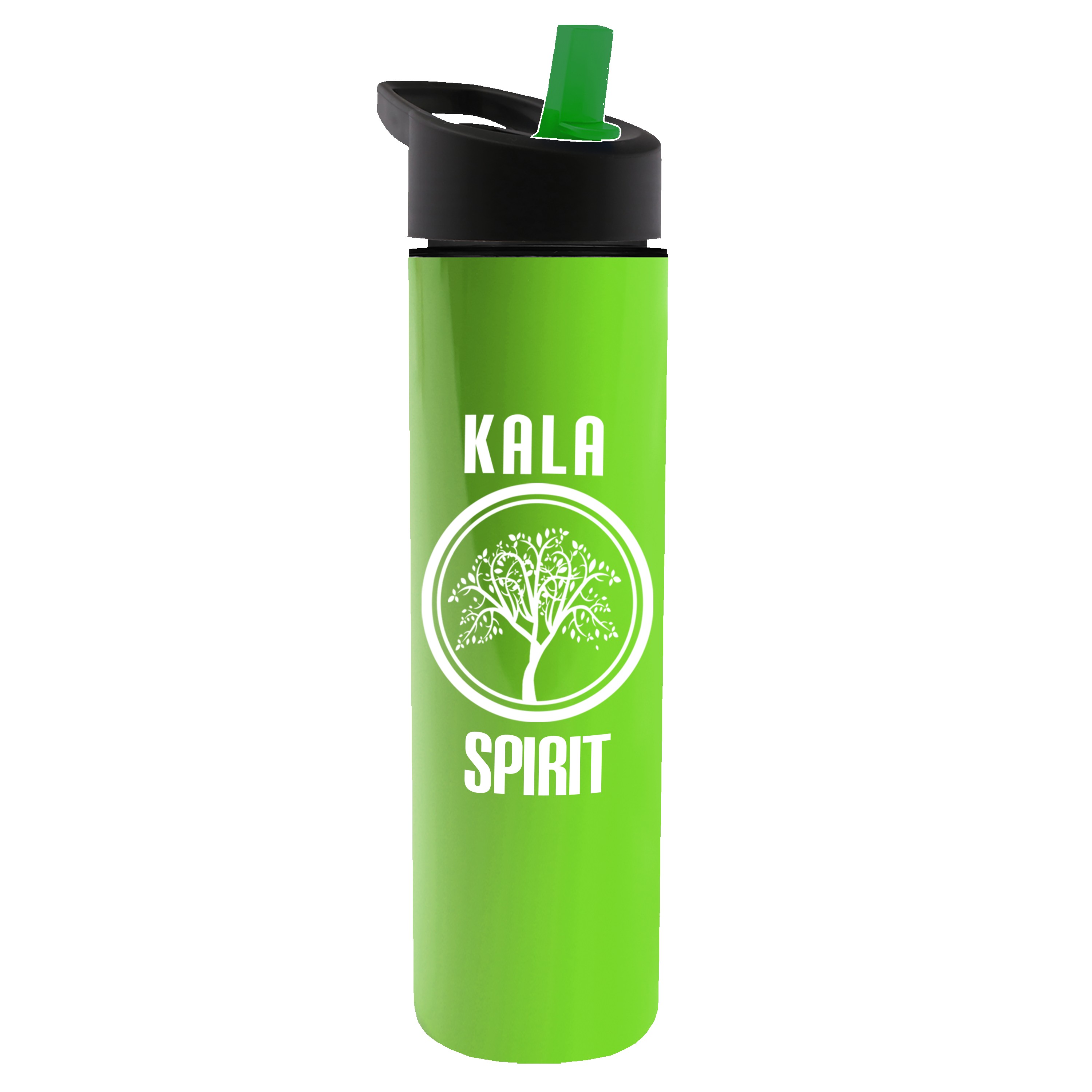 Garyline® Slim Double-Wall Insulated Bottle with Flip-Straw Lid - 16 oz. 2