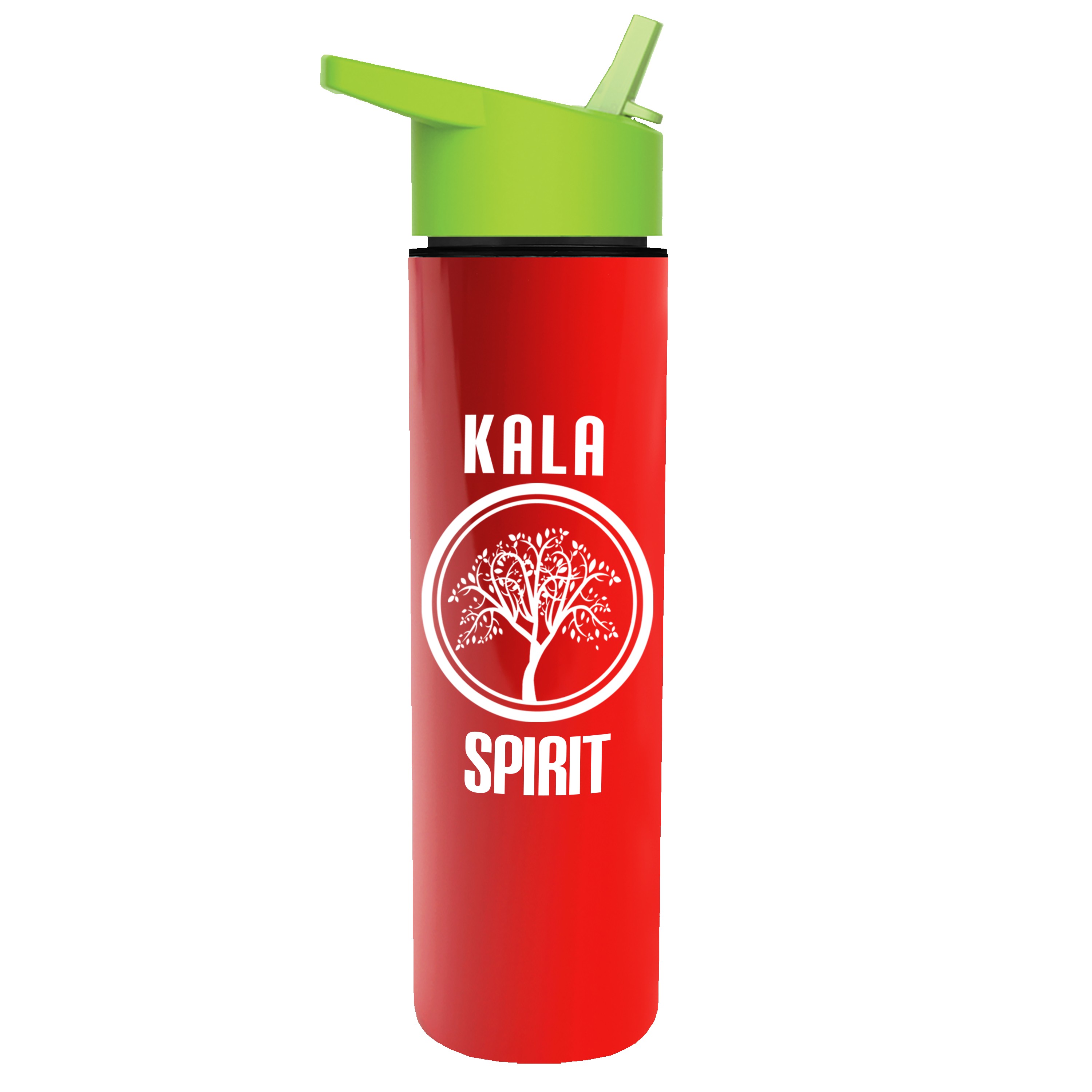 Garyline® Slim Double-Wall Insulated Bottle with Flip-Straw Lid - 16 oz. 2