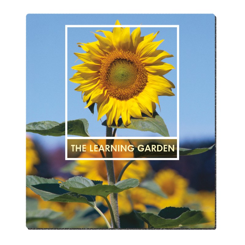 Good Value™ Ultra Thin Firm Mouse Pad (7-1/2" x 8-1/2") 2 Good Value™ Ultra Thin Firm Mouse Pad (7-1/2" x 8-1/2") 2