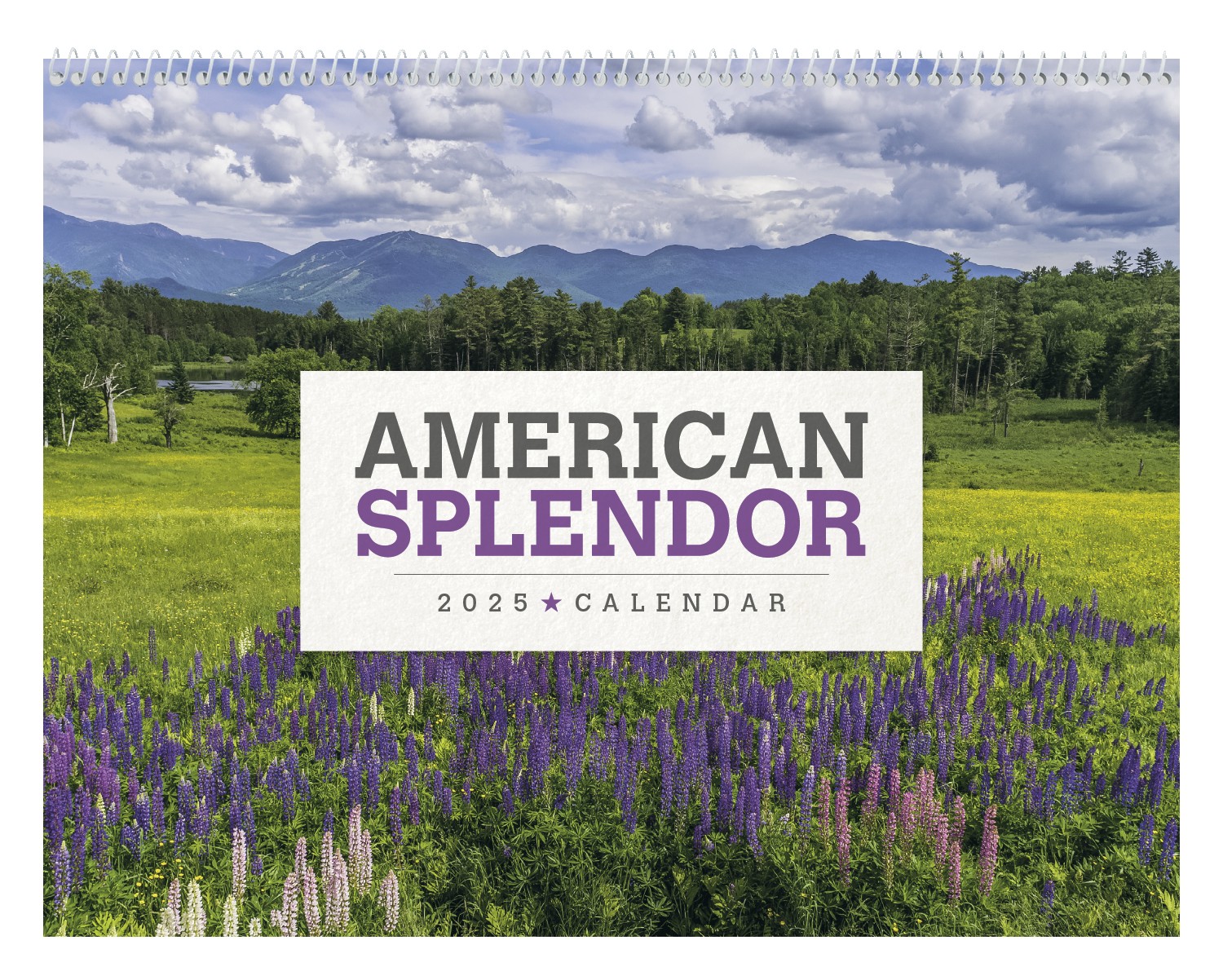 Triumph® Calendars American Splendor Calendar 2