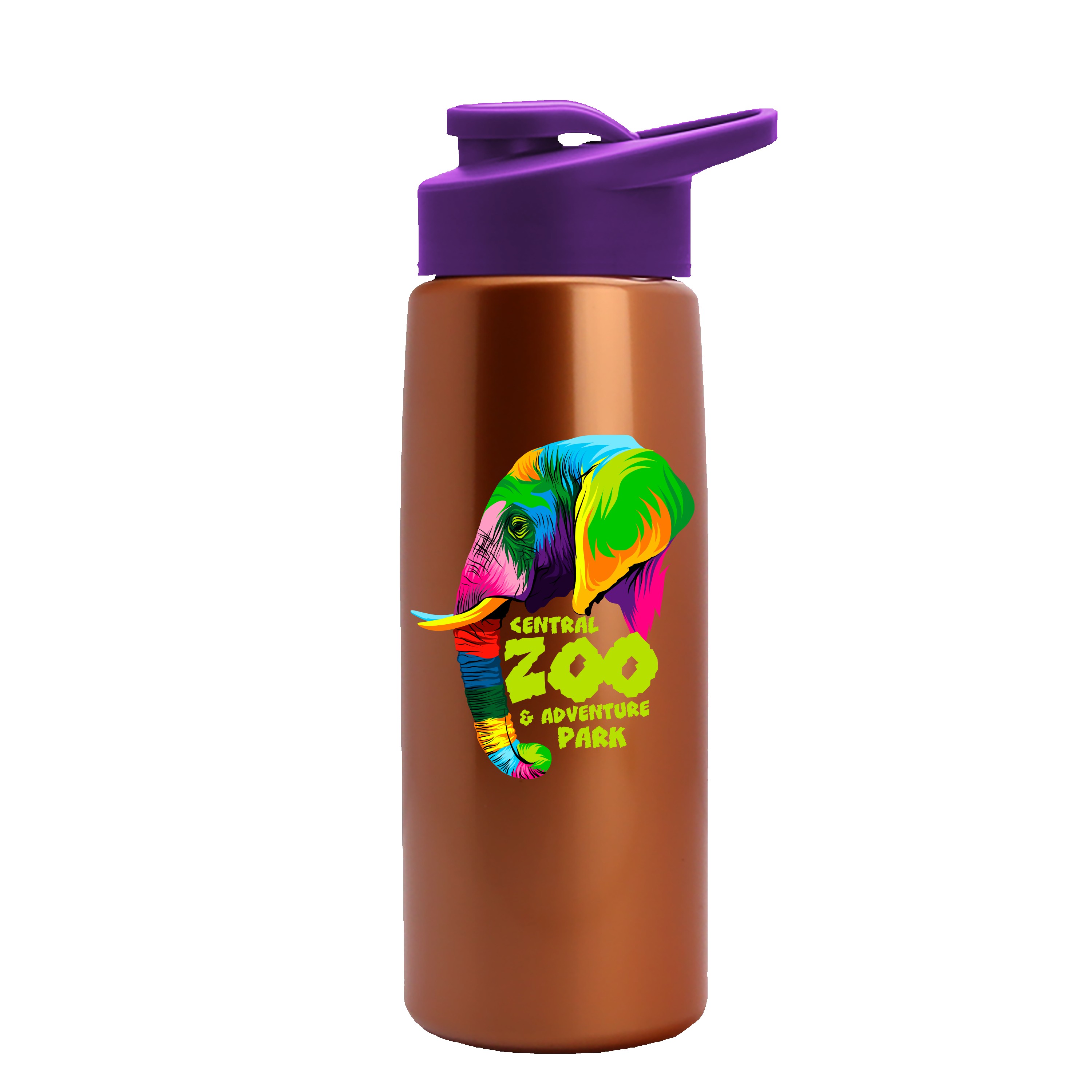 Garyline® Flair Tritan® Metallike Bottle with Drink-Thru Lid - 26 oz. 2