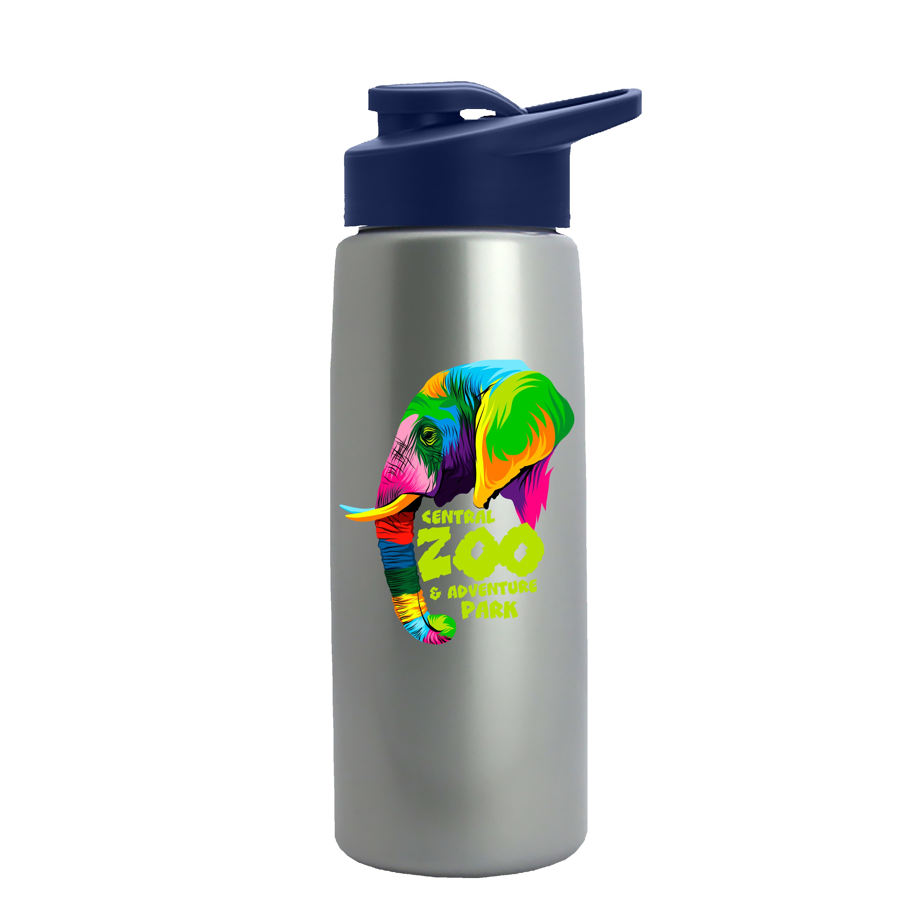 Garyline® Flair Tritan® Metallike Bottle with Drink-Thru Lid - 26 oz. 2