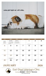 Good Value™ Pets with Attitude - Stapled Calendar - Good Value Pets with Attitude - Stapled Calendar open image Good Value™ Pets with Attitude - Stapled Calendar - Good Value Pets with Attitude - Stapled Calendar open image