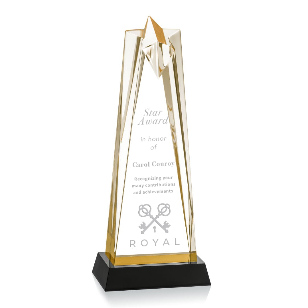 Shooting Star Award 2 Shooting Star Award 2