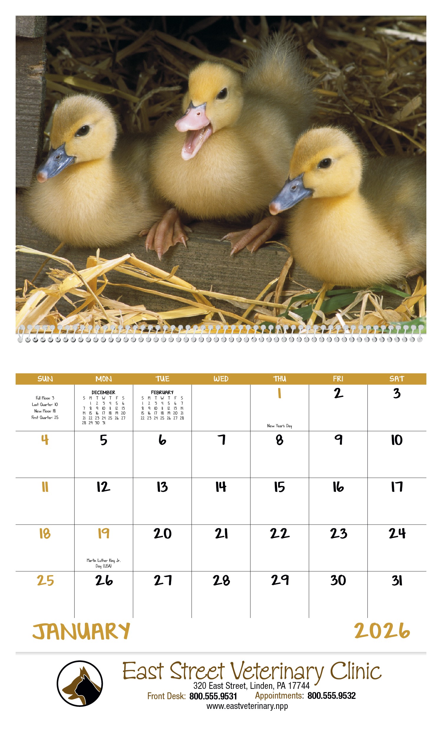 Good Value™ Baby Farm Animals - Spiral Calendar 2