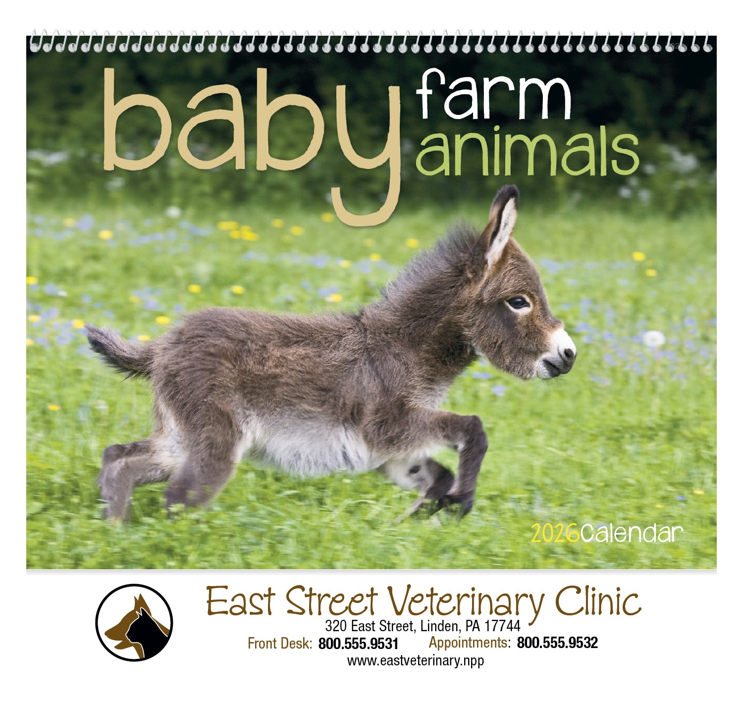 Good Value™ Baby Farm Animals - Spiral Calendar 2