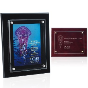 Floating Glass Plaque - 8" x 10" 2 Floating Glass Plaque - 8" x 10" 2