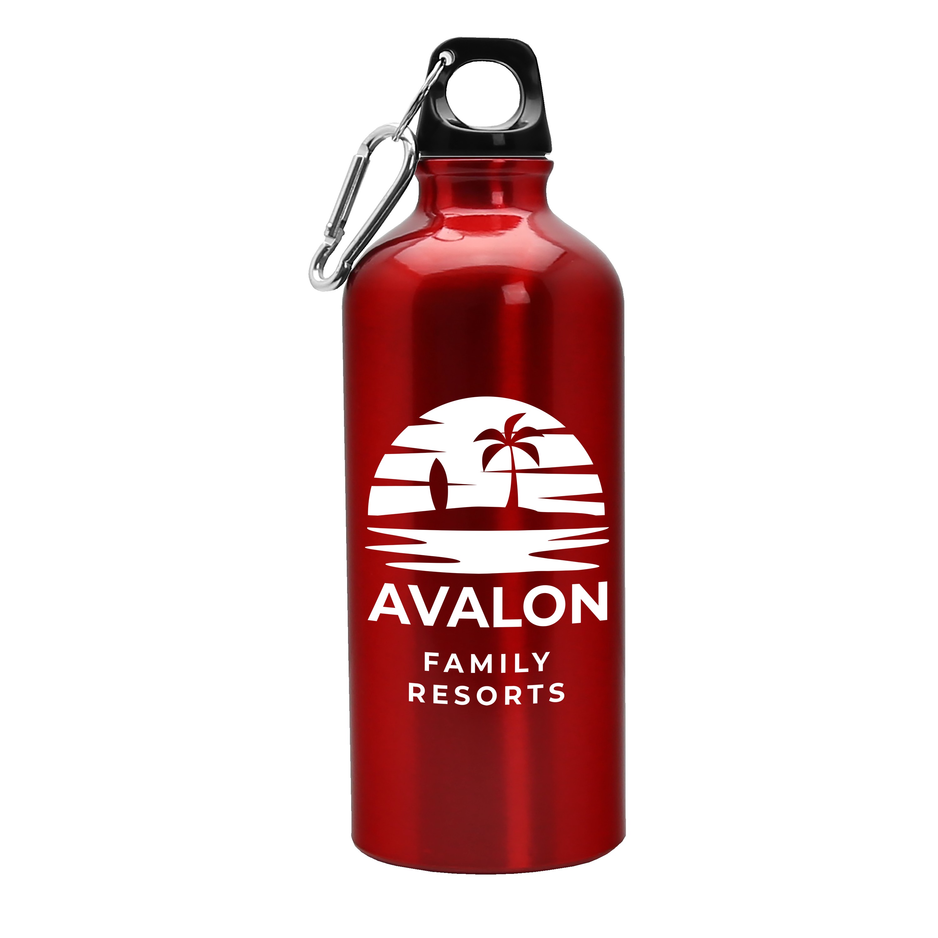 Garyline® Quest Aluminum Bottle - 20 oz. 2
