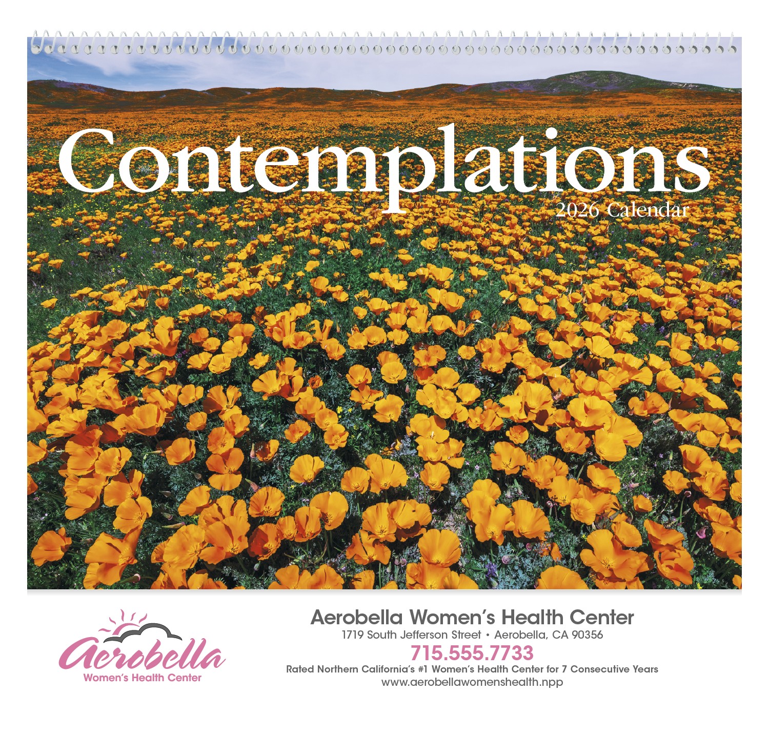 HotLine® Products Contemplations Appointment Calendar - Spiral 2