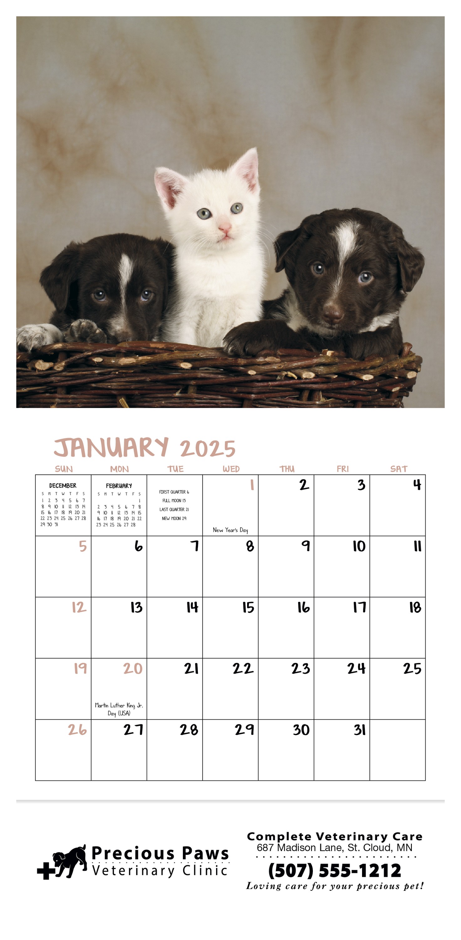 Good Value™ Puppies & Kittens - Mini Calendar 2