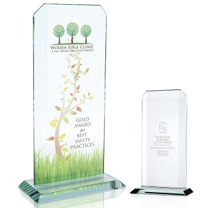 Starfire Echo Award - Large 2 Starfire Echo Award - Large 2