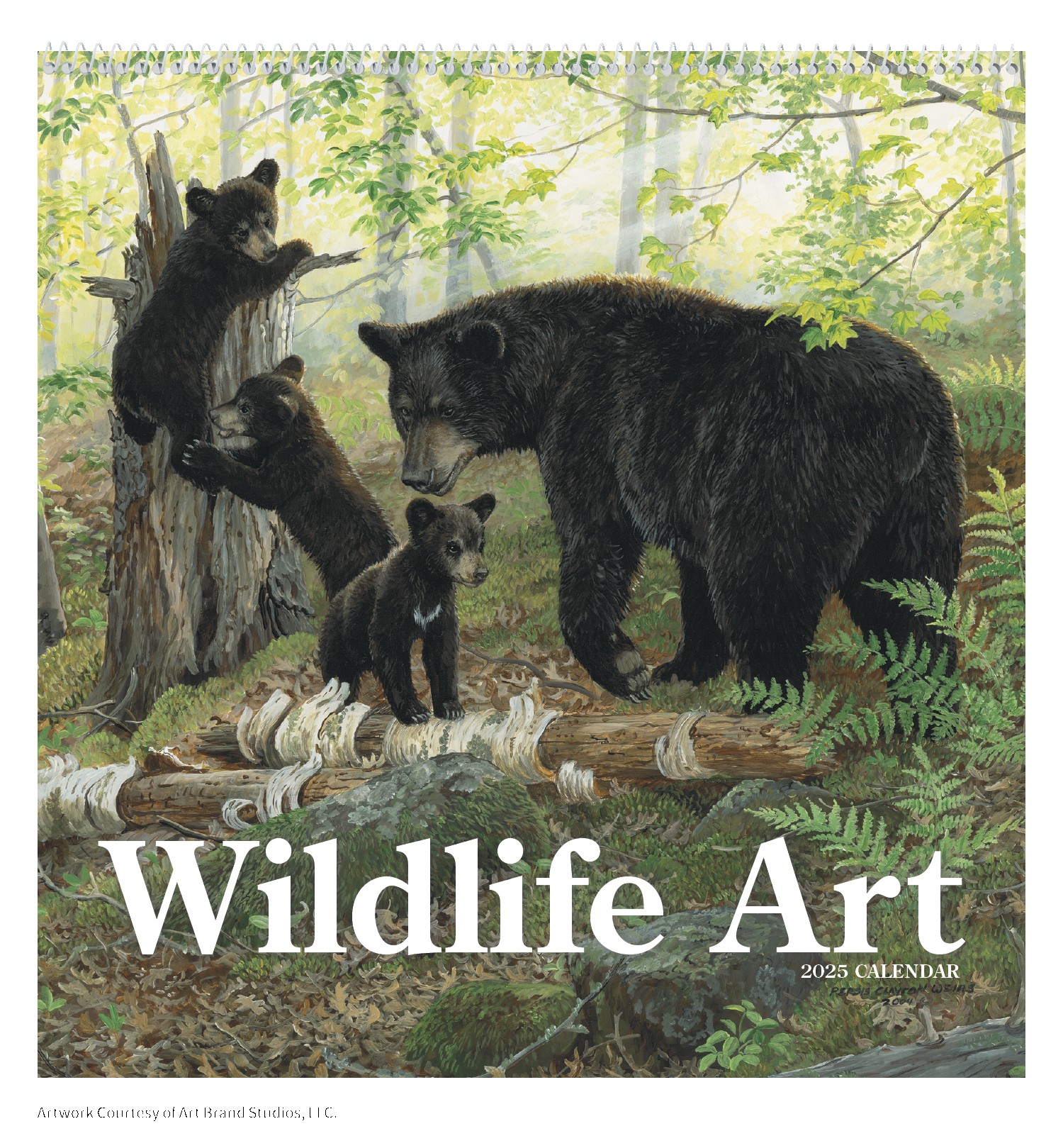 Triumph® Calendars Wildlife Art Calendar 2