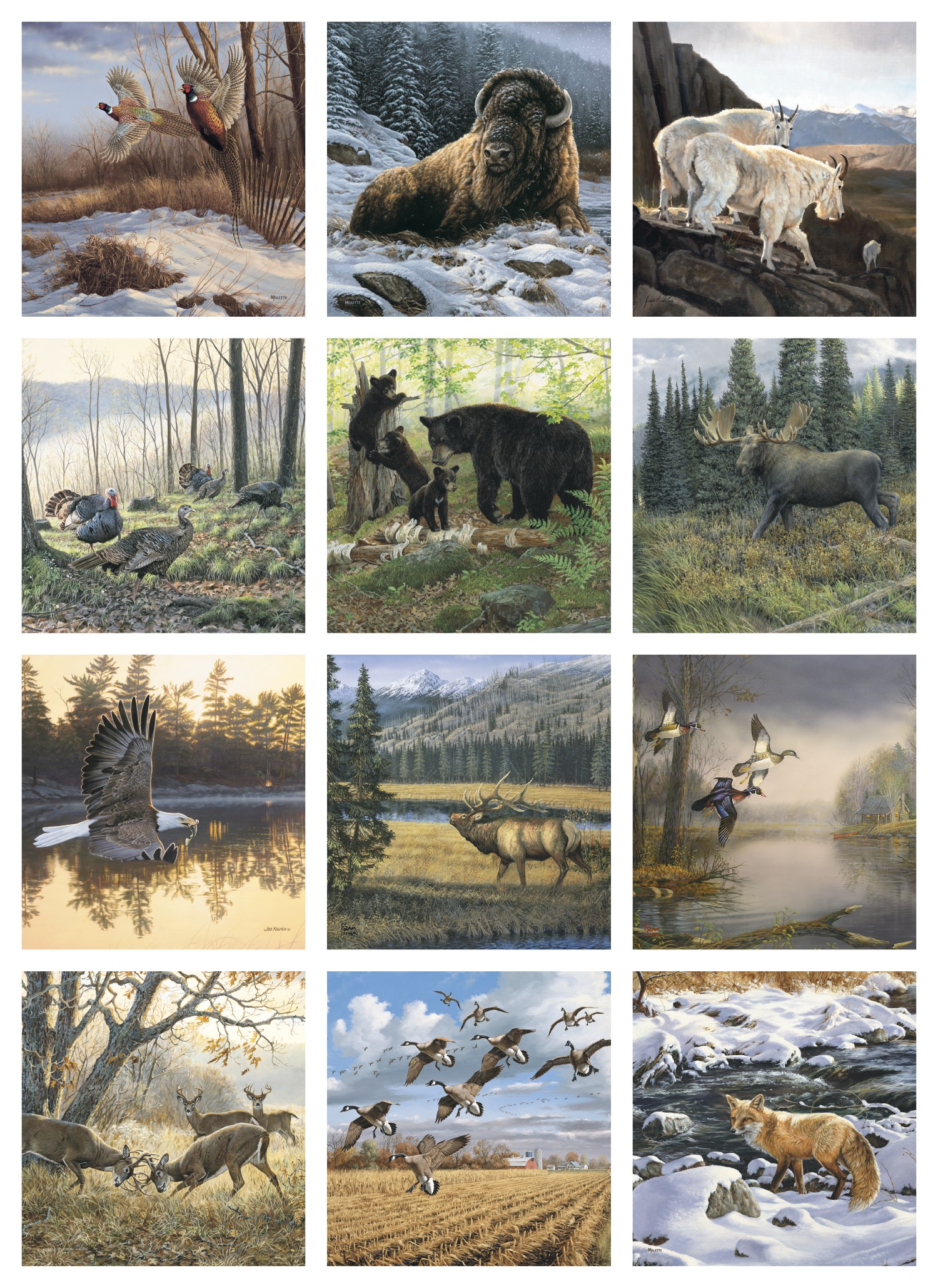 Triumph® Calendars Wildlife Art Calendar 2
