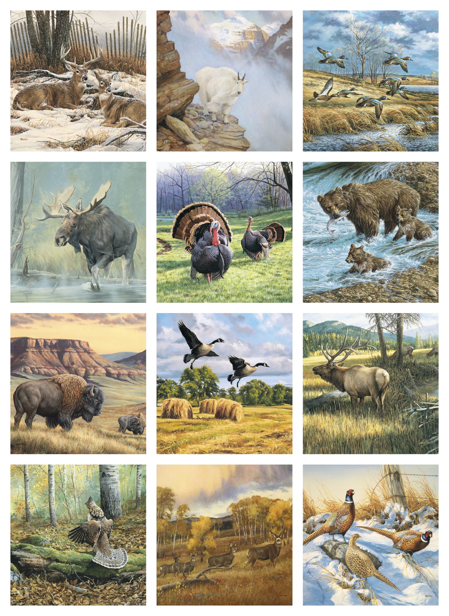 Triumph® Calendars Wildlife Art Calendar 2