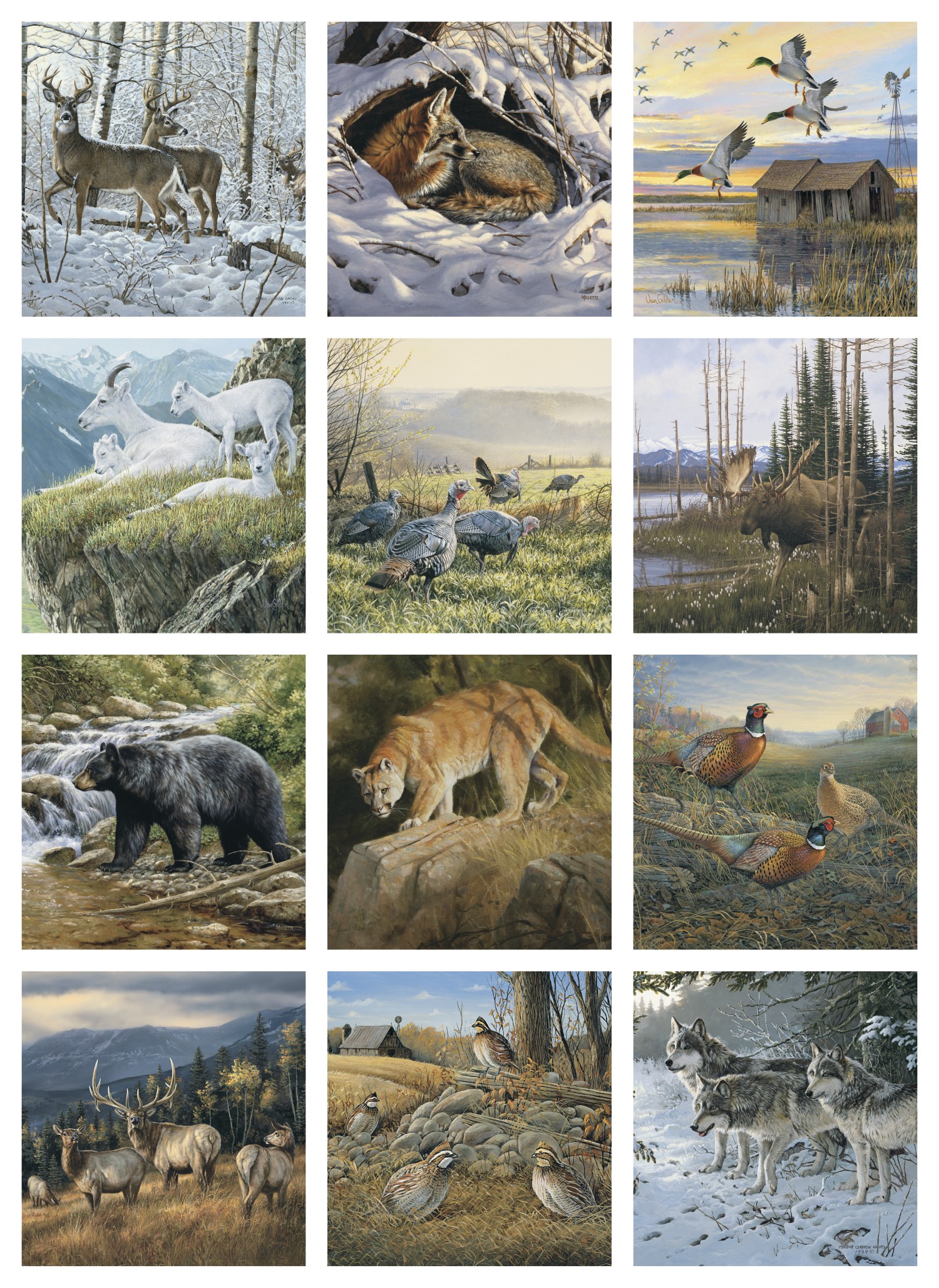 Triumph® Calendars Wildlife Art Calendar 2